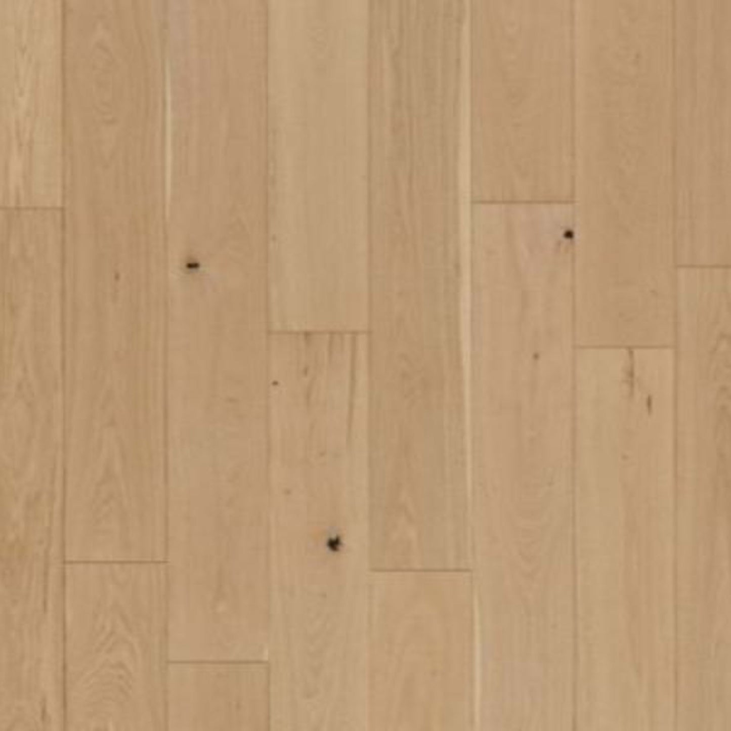 Collington in Champagne Oak