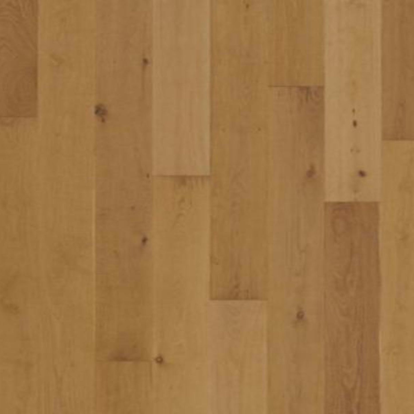 Brevanna in Aged Barrel Oak