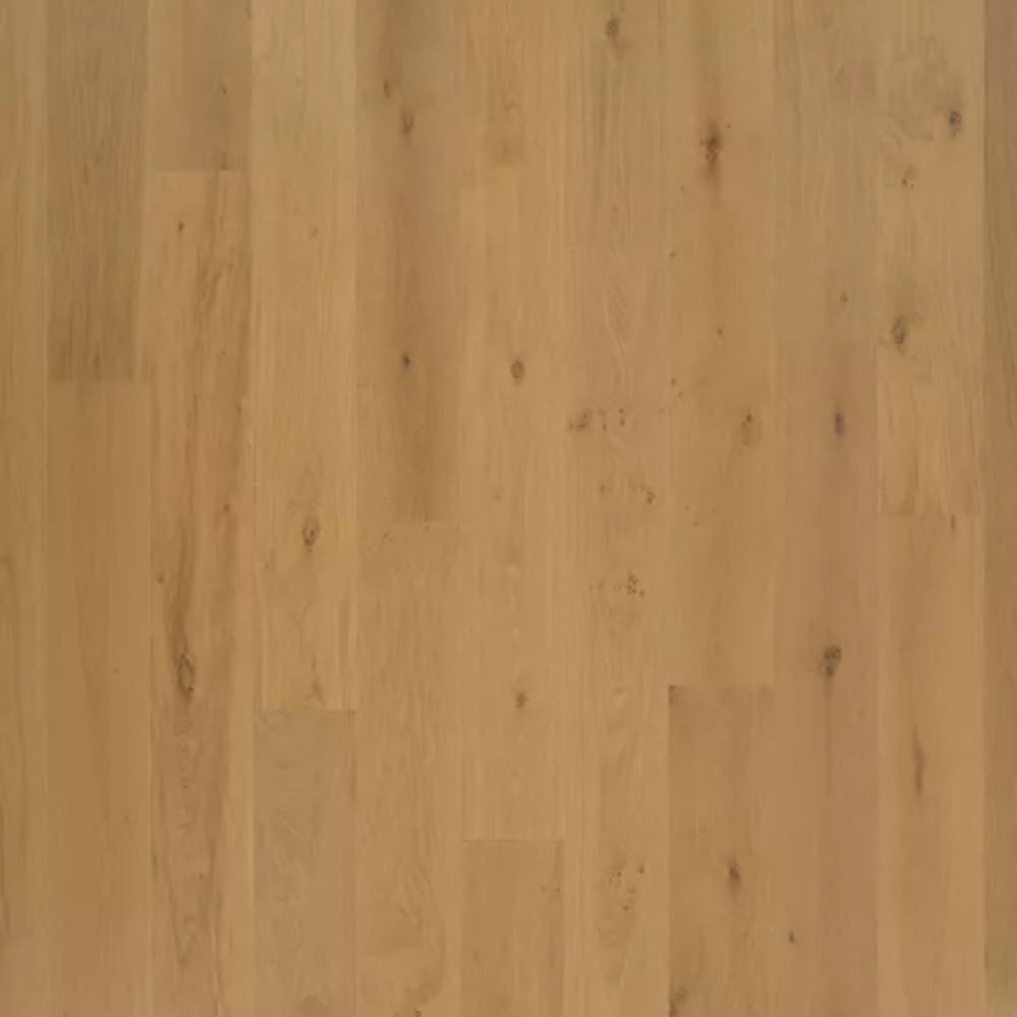 The Gault Estate in Norwich Honey Oak