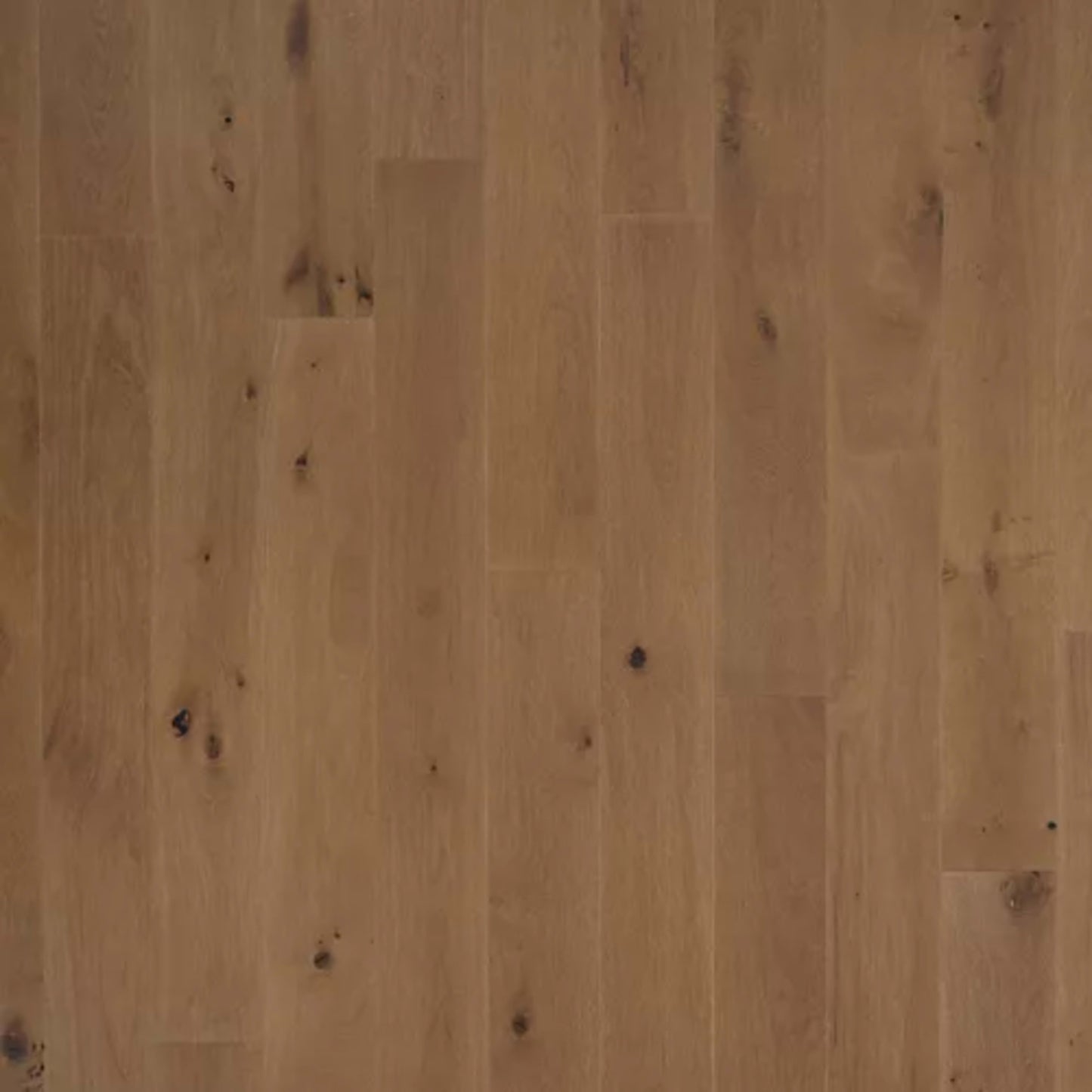 Chateau Loraine in Vintage Oak