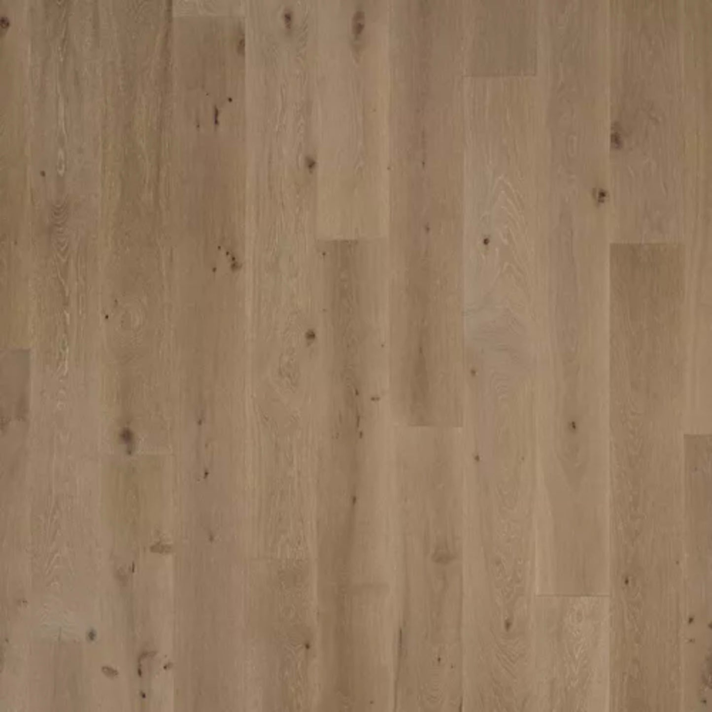 Chateau Loraine in Stone Terrace Oak