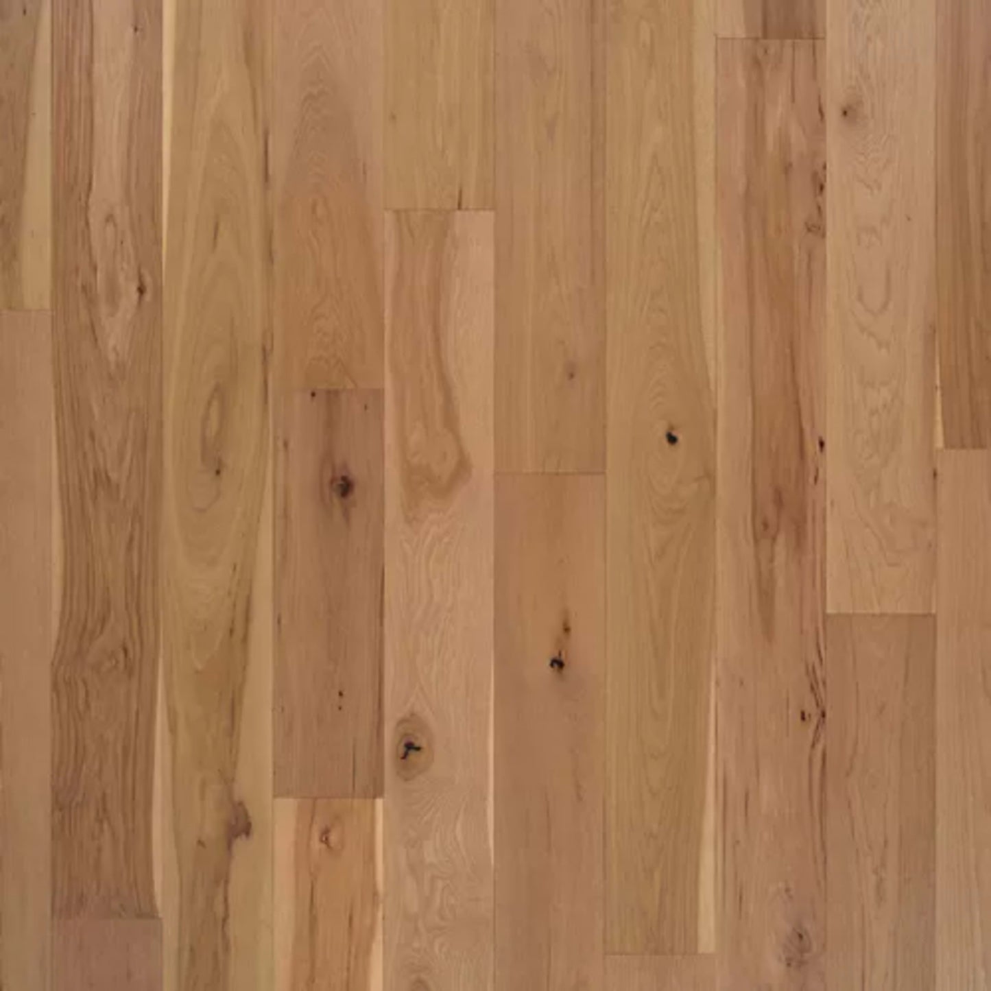 Cambridge Courts in Aged Buff Hickory