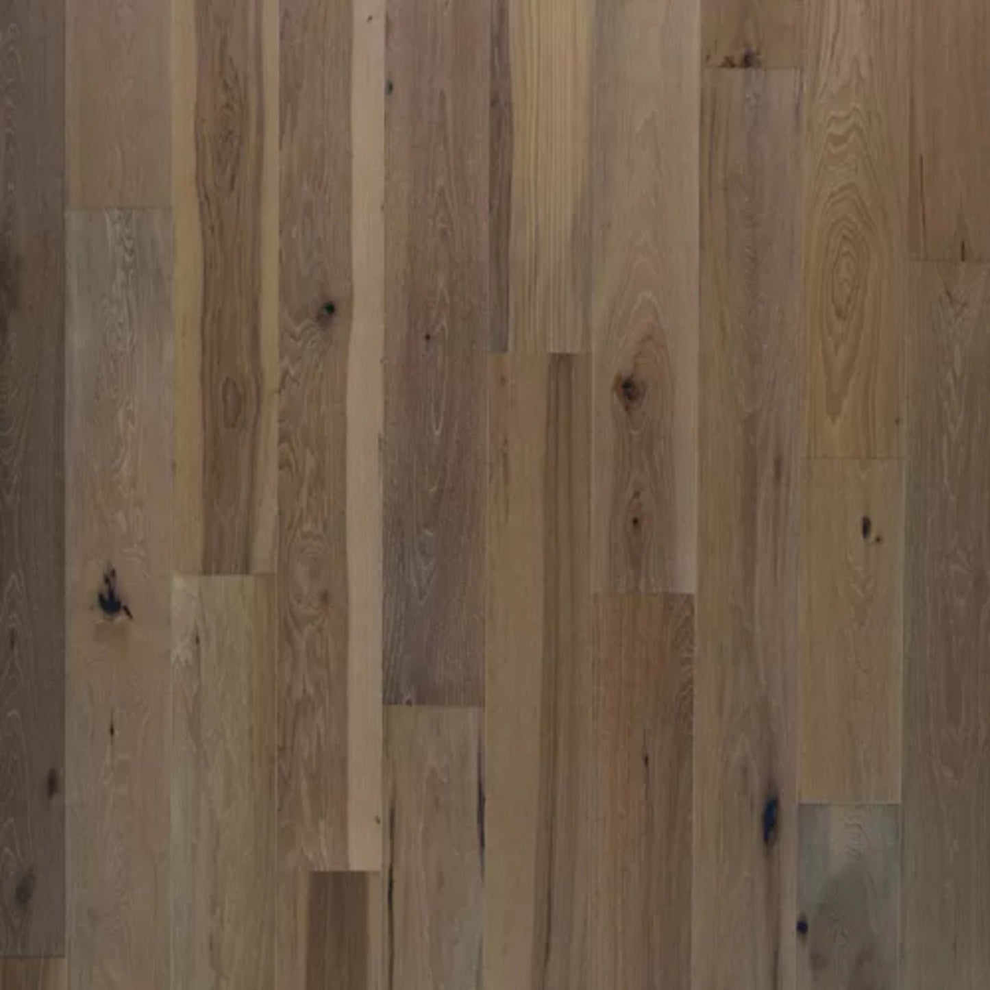 Cambridge Courts in Beige Hickory