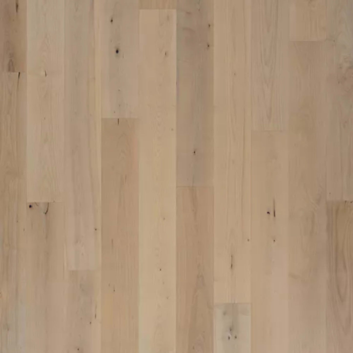 Bellacree in Smokey Taupe Maple