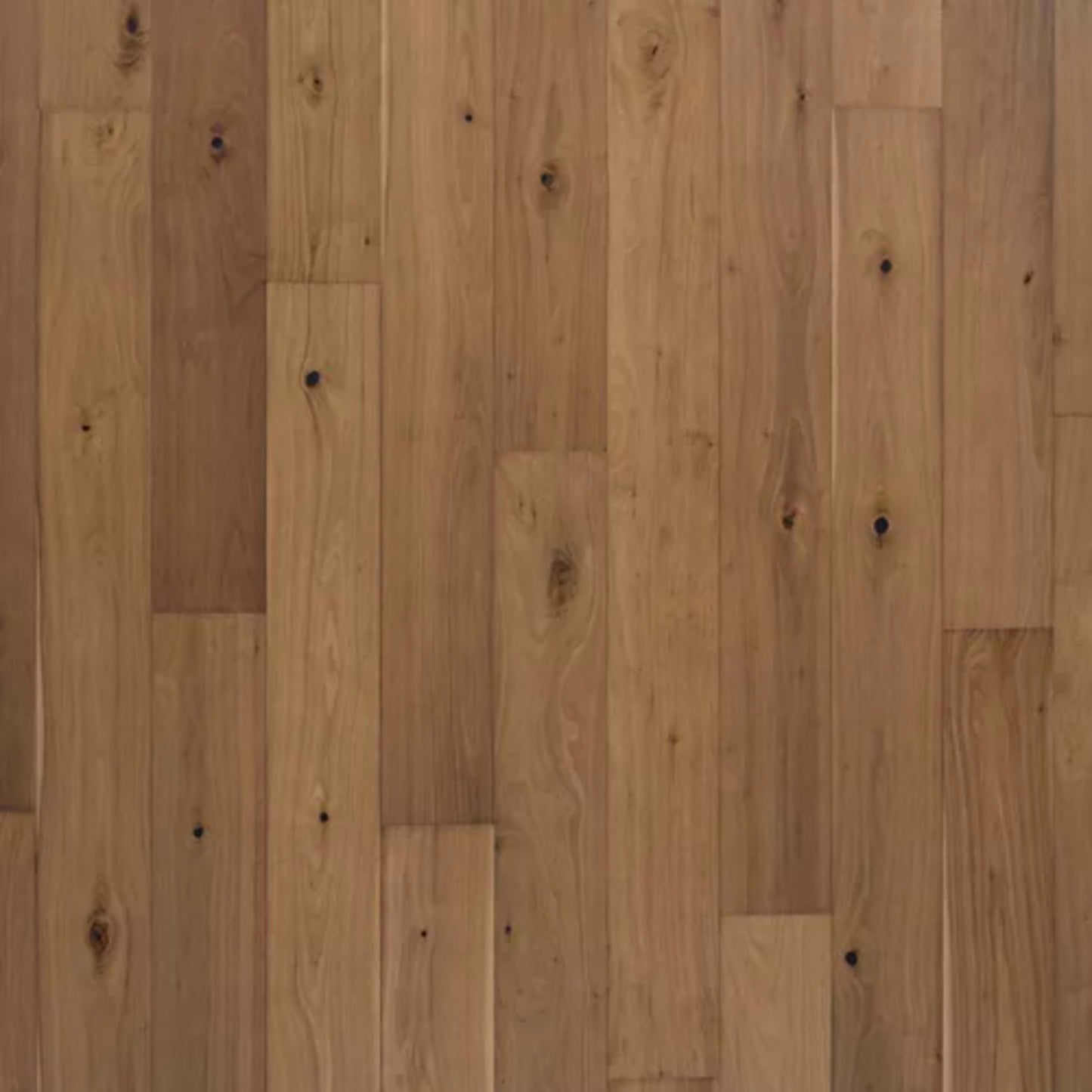 Bellacree in Warm Creme Walnut