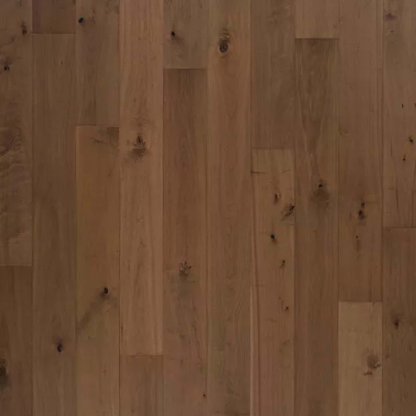 Bellacree in Vintage Walnut