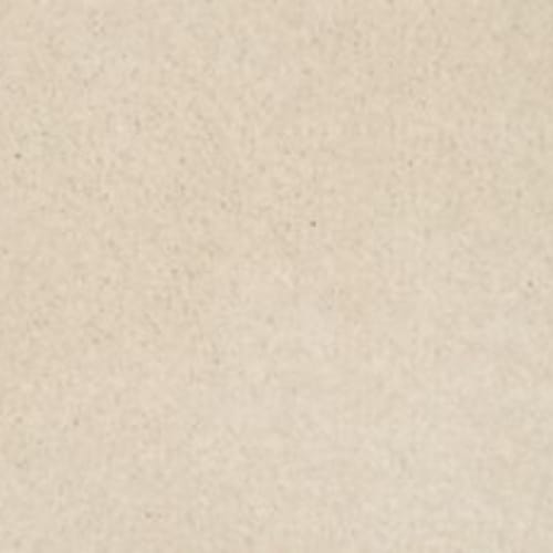 Lifetime Achiever II