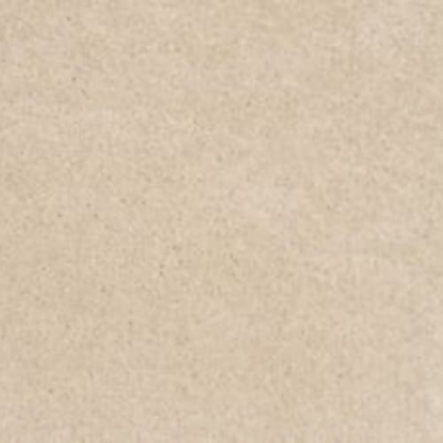 Lifetime Achiever II