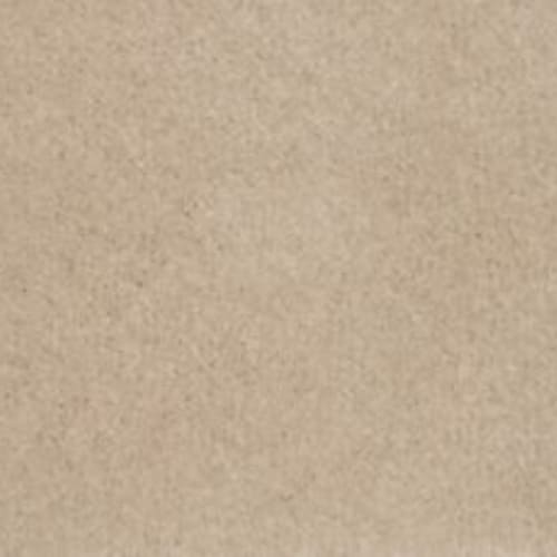 Lifetime Achiever II