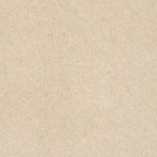 Lifetime Achiever II