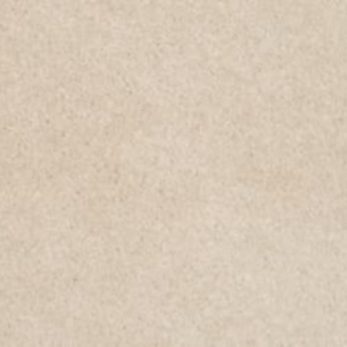 Lifetime Achiever II