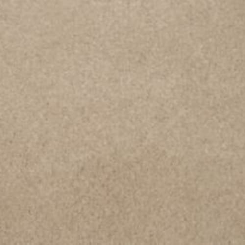 Lifetime Achiever II