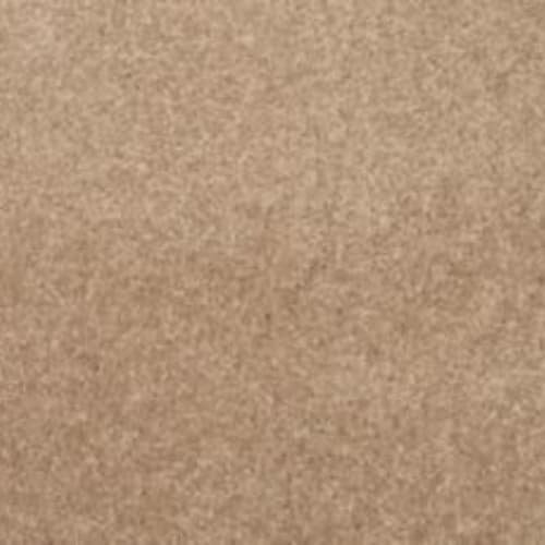 Lifetime Achiever II