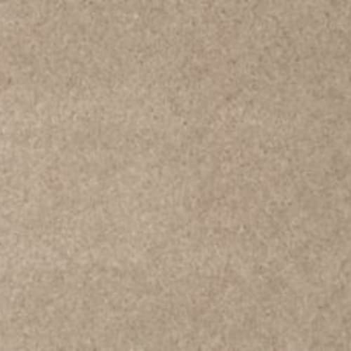 Lifetime Achiever II