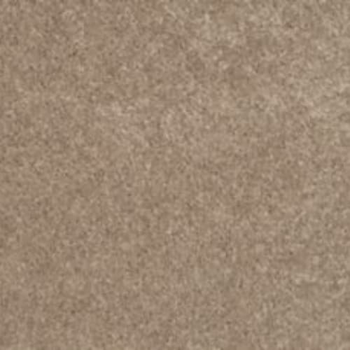 Lifetime Achiever II