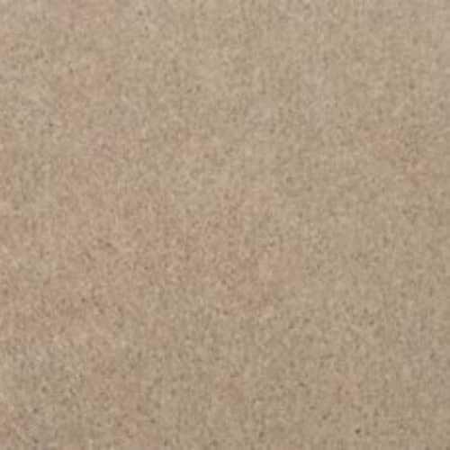 Lifetime Achiever II