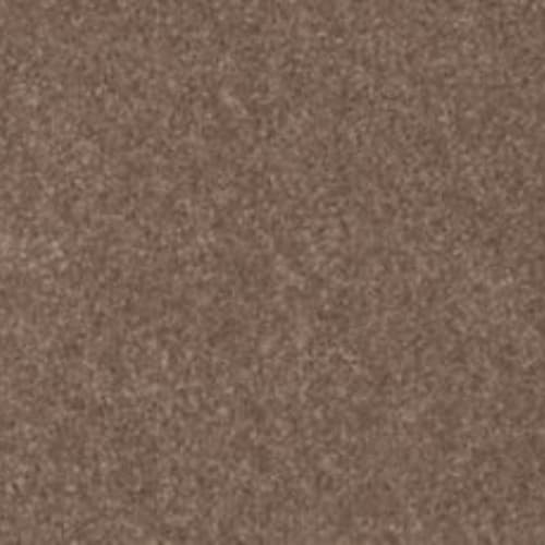 Lifetime Achiever II