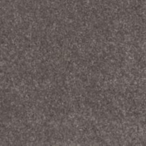 Lifetime Achiever II