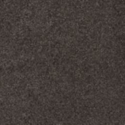 Lifetime Achiever II