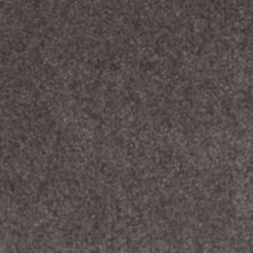 Lifetime Achiever II