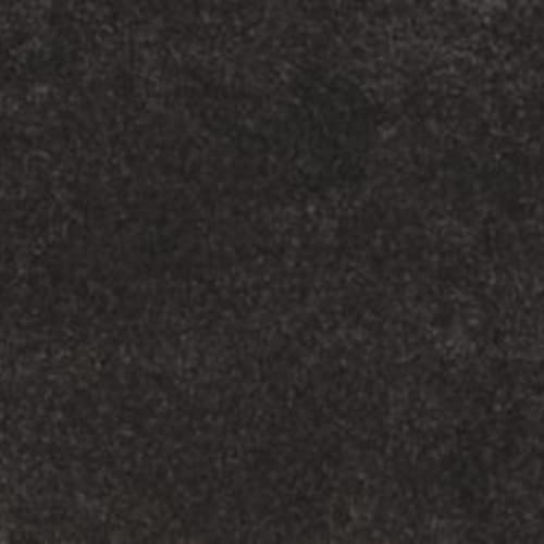 Lifetime Achiever II