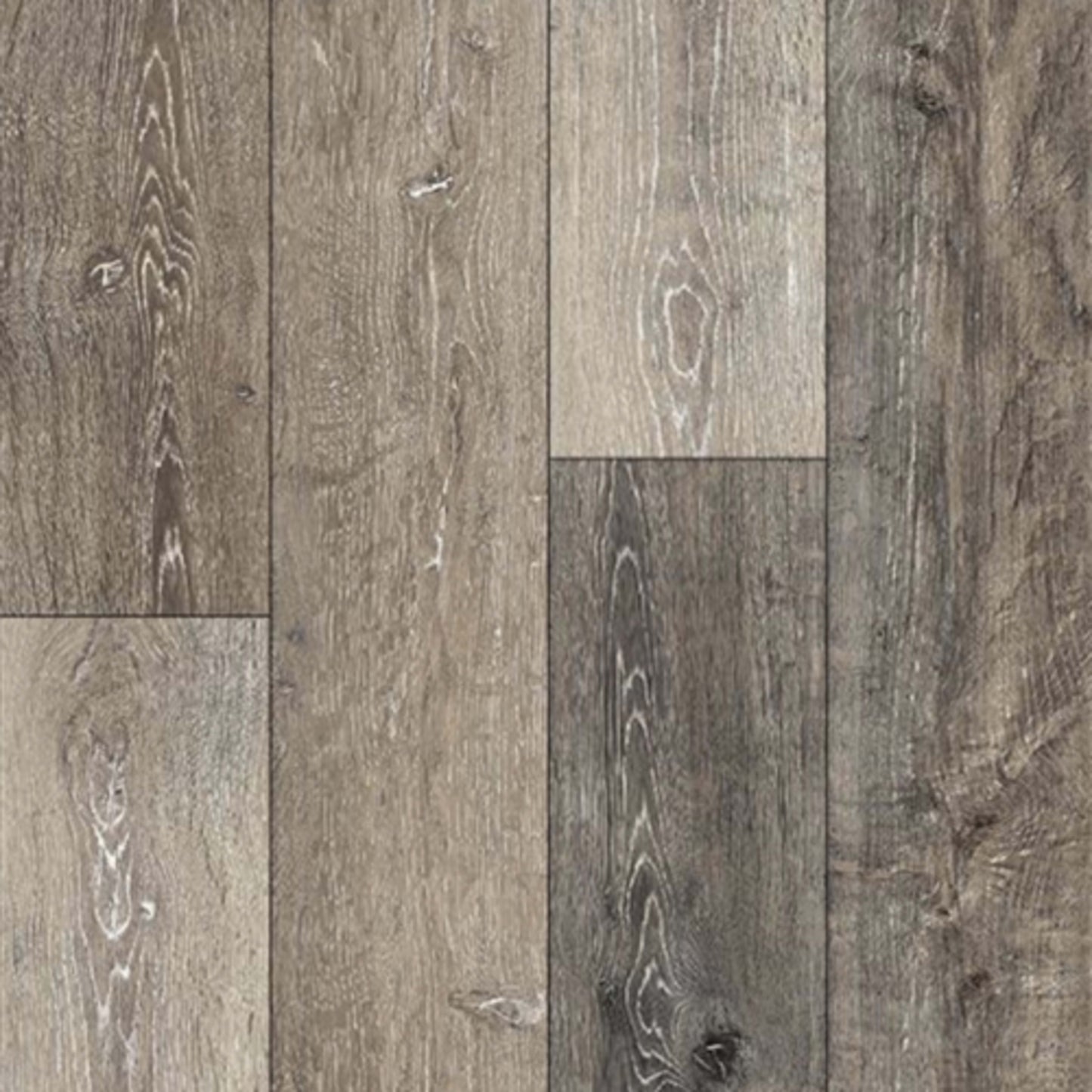 Rigid Plus in Rustic Barn