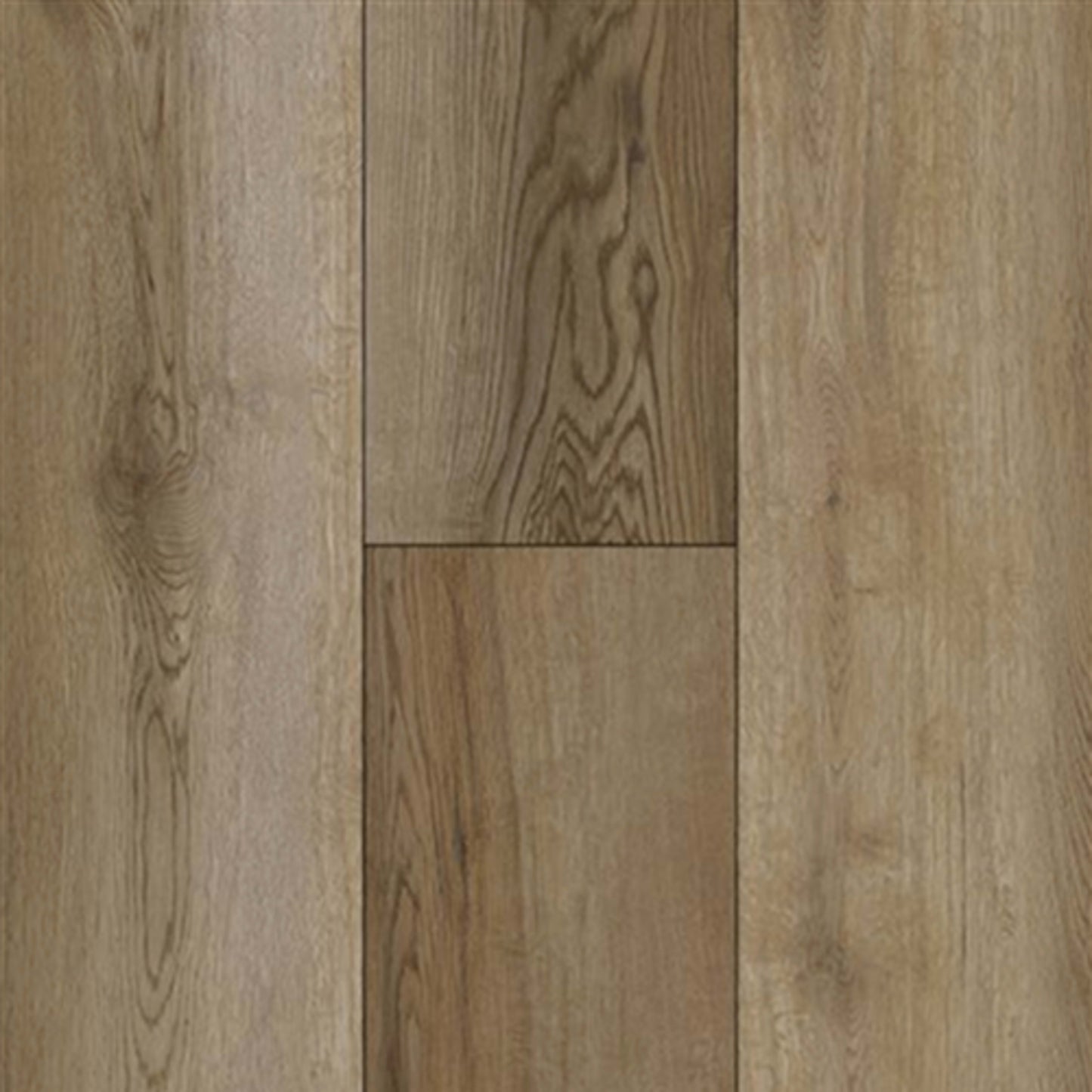 Rigid Plus in Moonshine