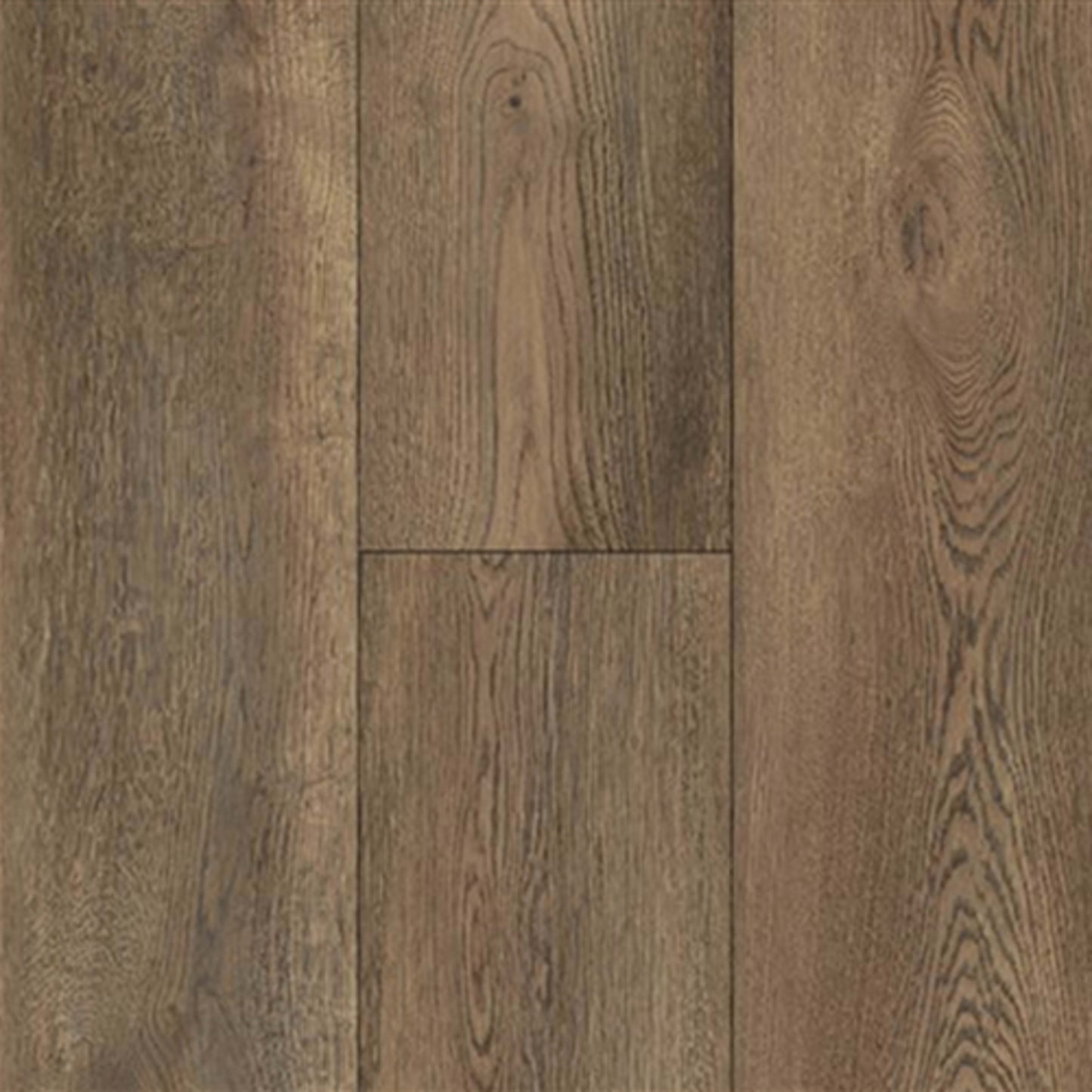 Equity Plank in Saddle