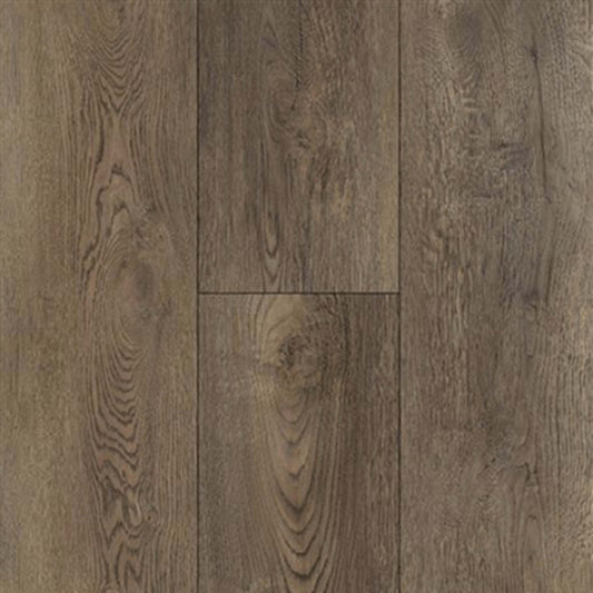 Equity Plank in Beaver