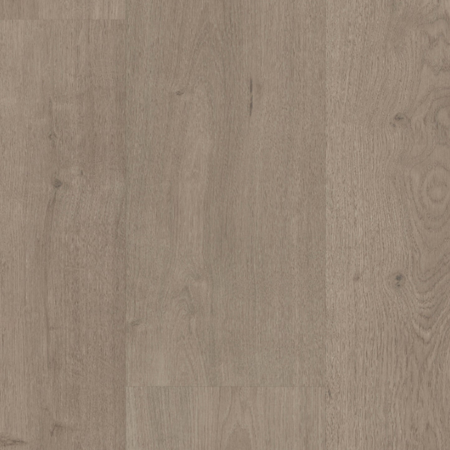 Sequoia in Cliff Creek Laminate
