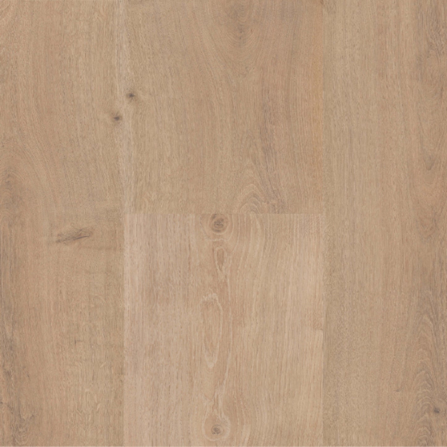 Sequoia in Florence Peak Laminate