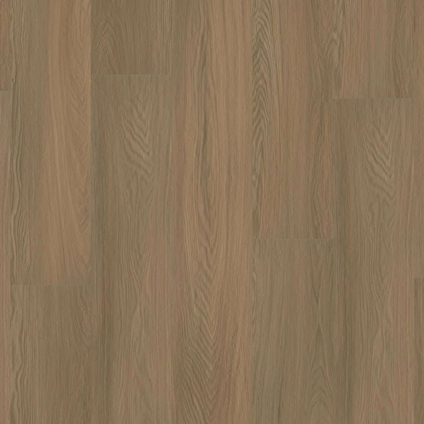 Prime XL Collection in Burnt Oak