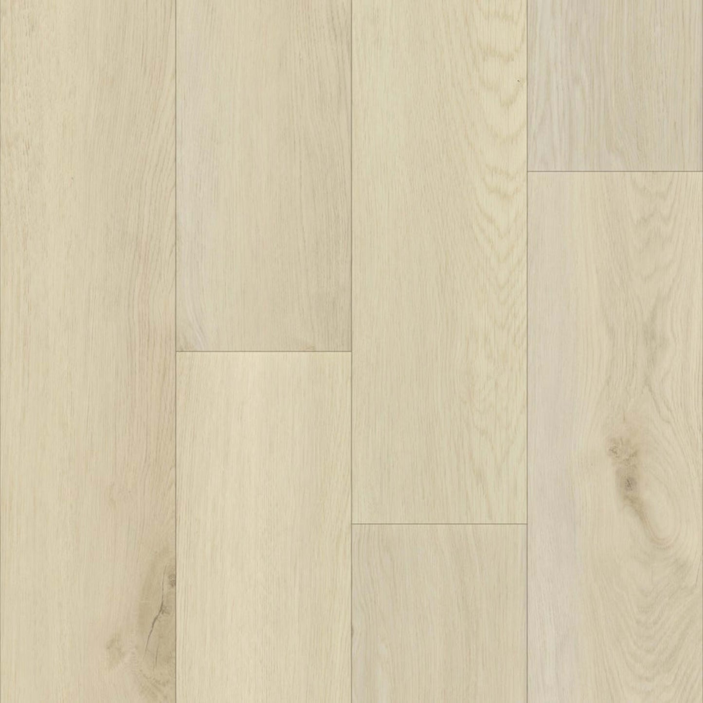 Charlie in Sandstone