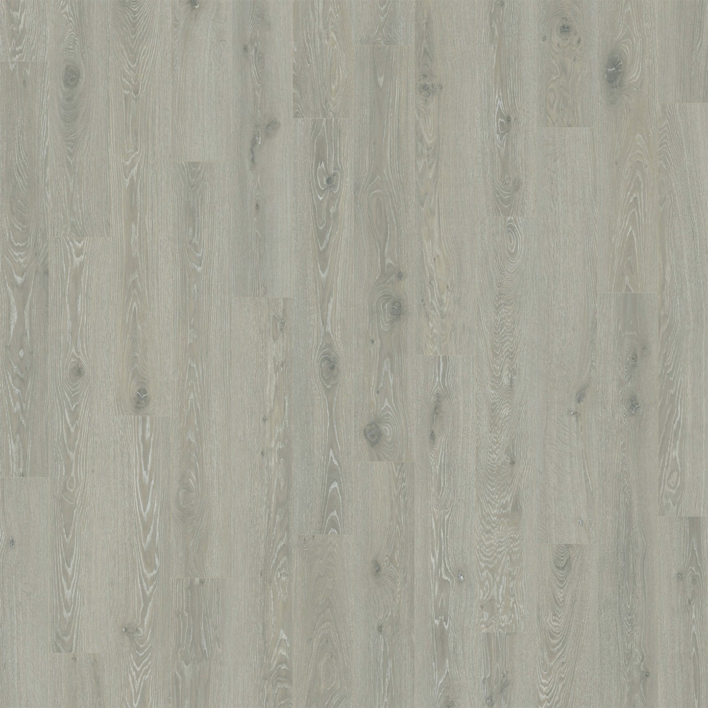 Cultivate in Glacier Peak