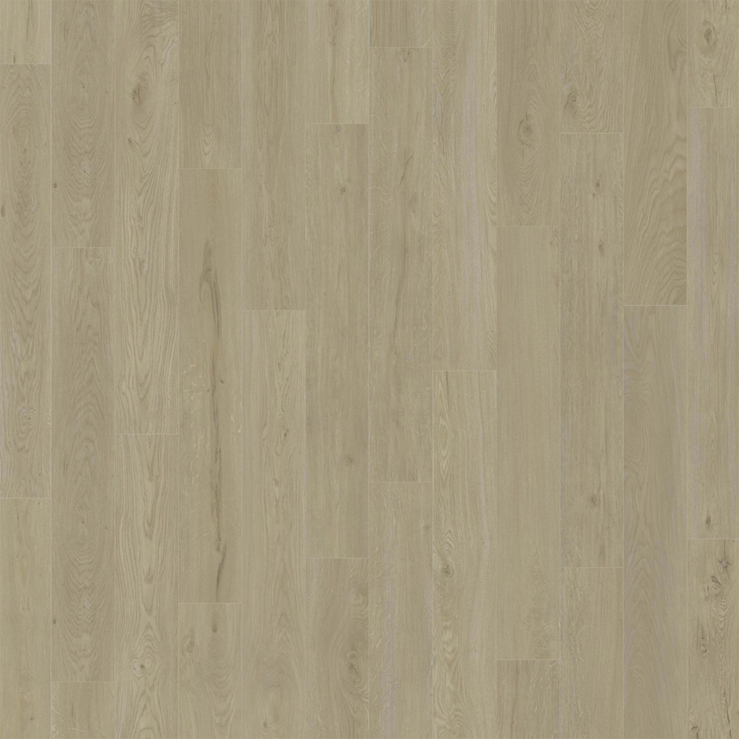 American Standard in Ismorada