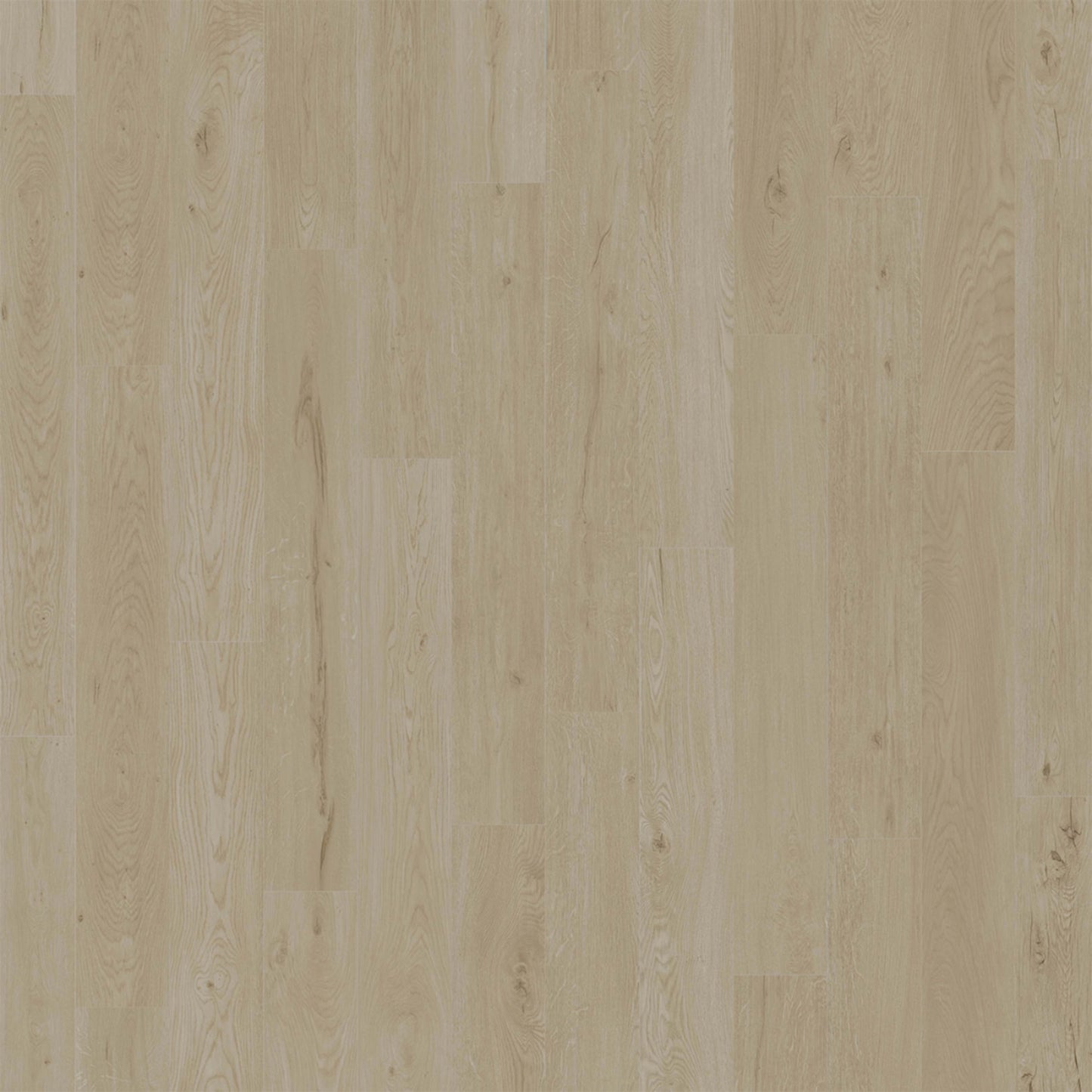 American Standard in Alys