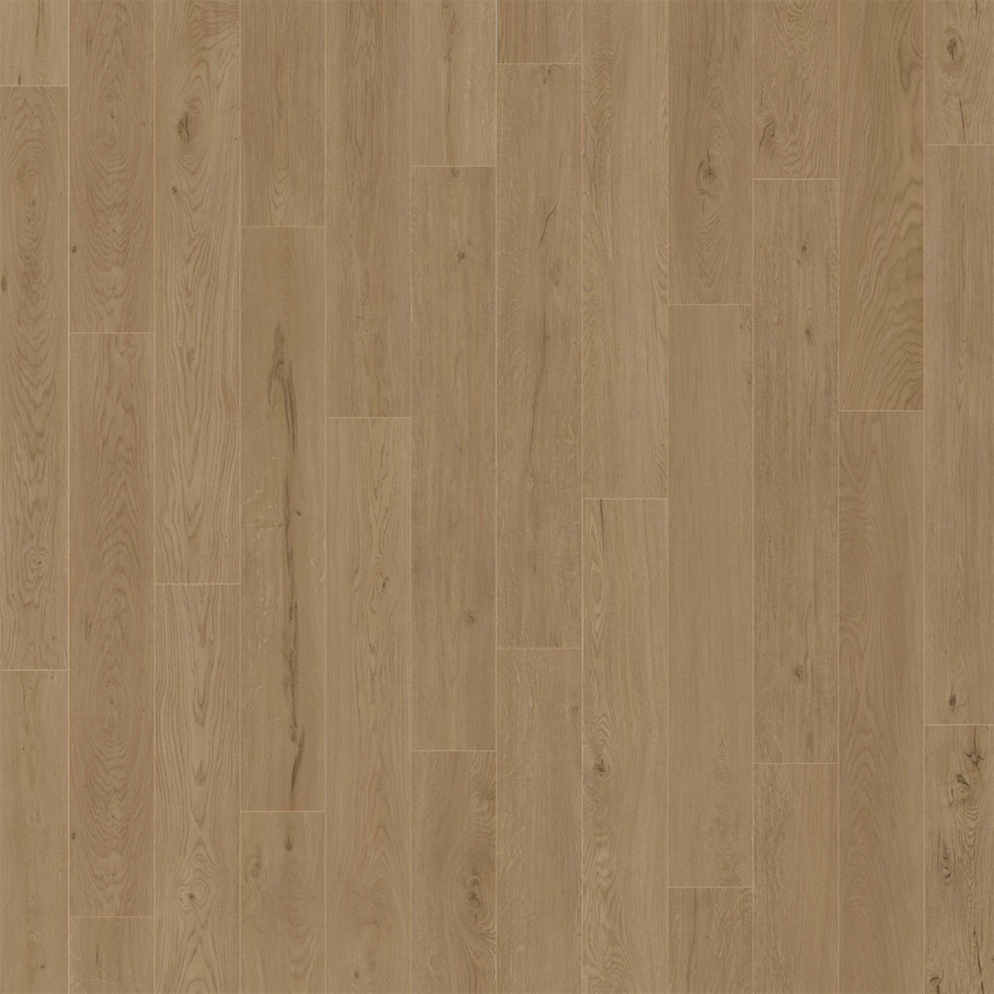 American Standard in Coronado