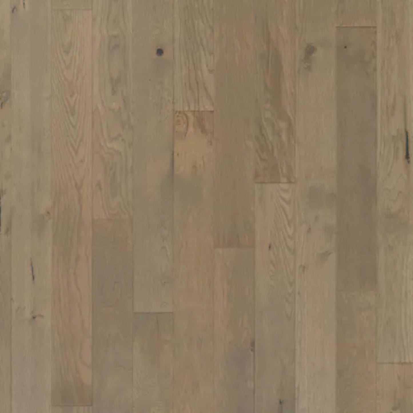 Camden Park in Gray Cashmere