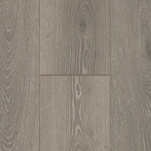 Beachside Collective in Graphite