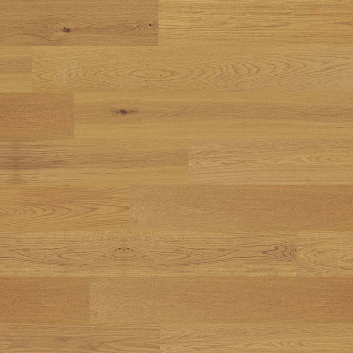 Wilmington Farms in Timeless Oak