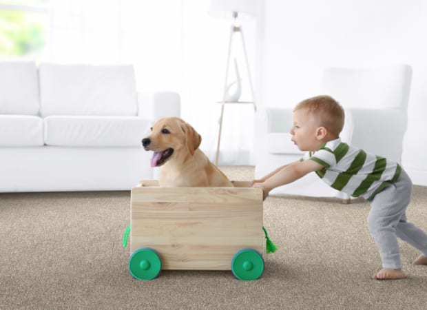 #sku_Milan-On the Rocks