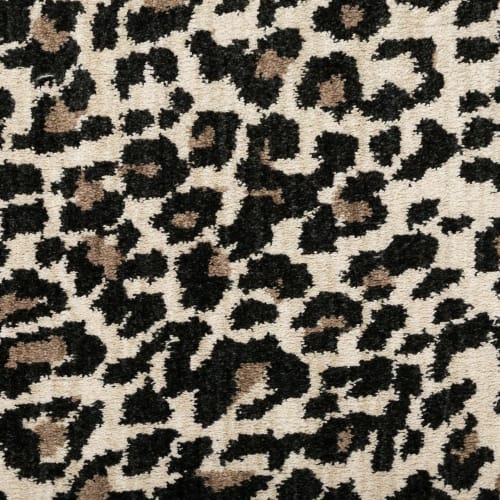 Savanna Leopard