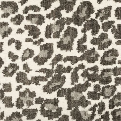 Savanna Leopard