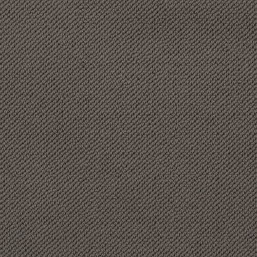 Merino Dreams