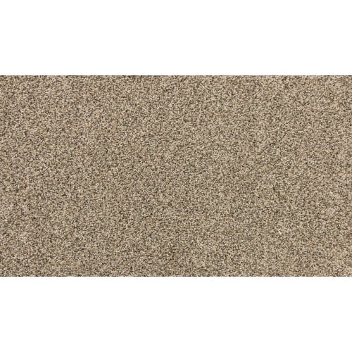 Instinctive Elegance