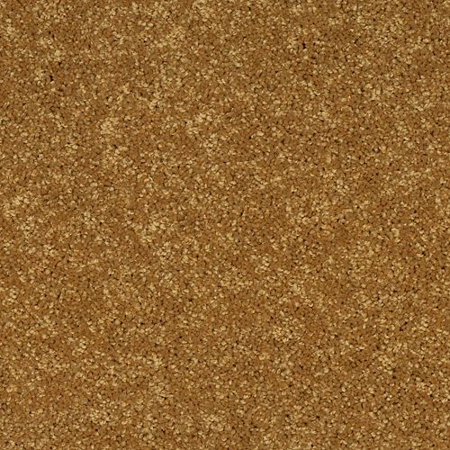 Essential Collection