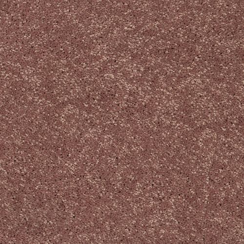 Essential Collection