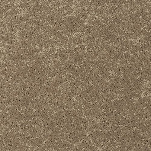 Essential Collection