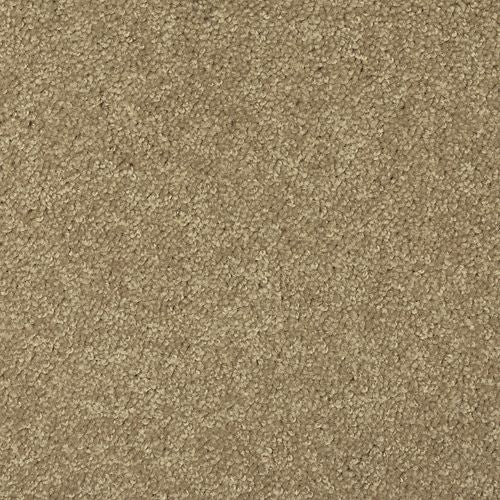 Essential Collection