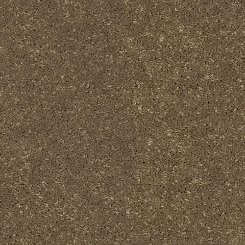 Essential Collection